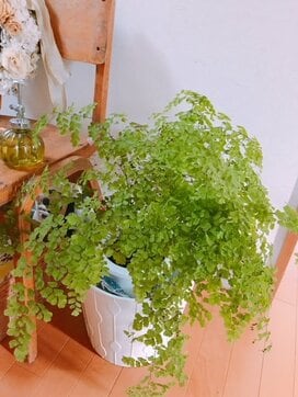 梅雨のジメジメに負けないために「空気」をひと工夫