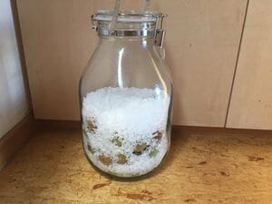 ビンはあらかじめ消毒しておく