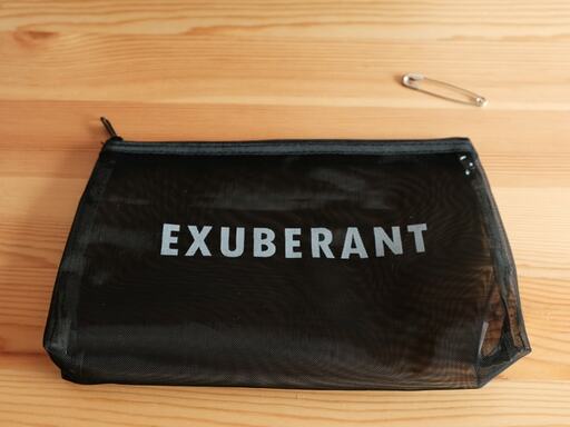 100均のメッシュ素材のファスナーケースと安全ピン