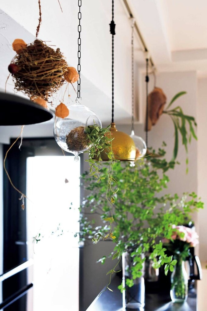 ダクトレールからつるした照明と植物