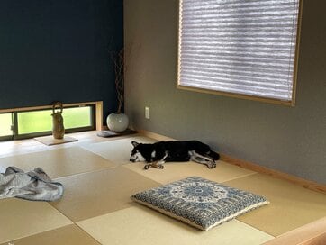 琉球畳の和室がお犬様の昼寝場所に。住んでみたら想定外、わが家の部屋＆収納