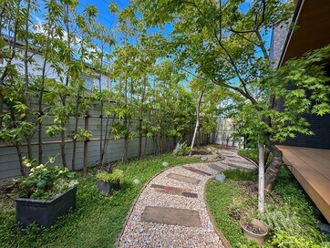 森のような庭が住宅密集地にできた。7.3坪のスペースに緑を植えた3年後のわが家