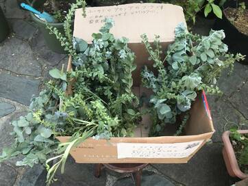 「ご自由にお持ち帰りください」自分もやったら素敵な体験に…＜暮らしっく＞