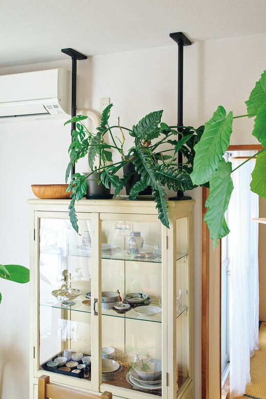 つっぱり棒で固定された食器棚