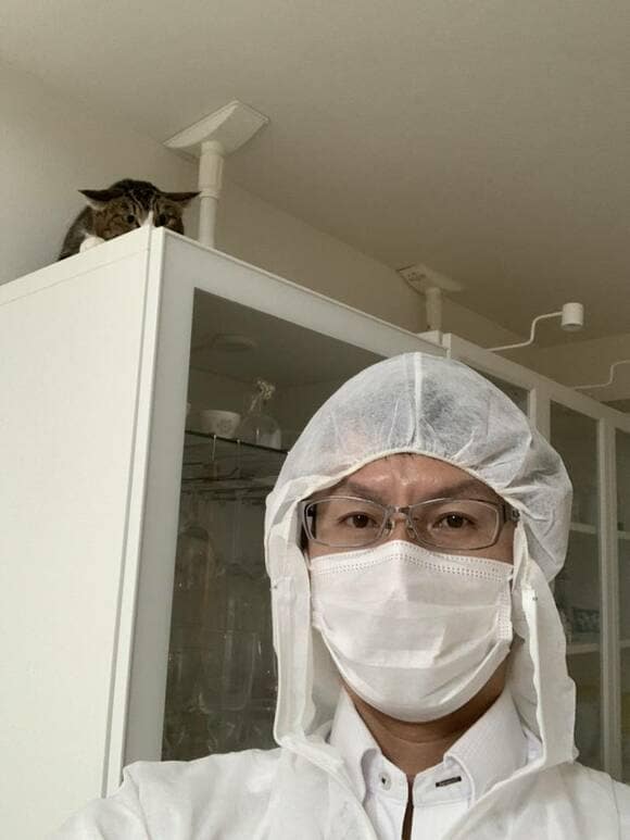 防護服を着た人と猫