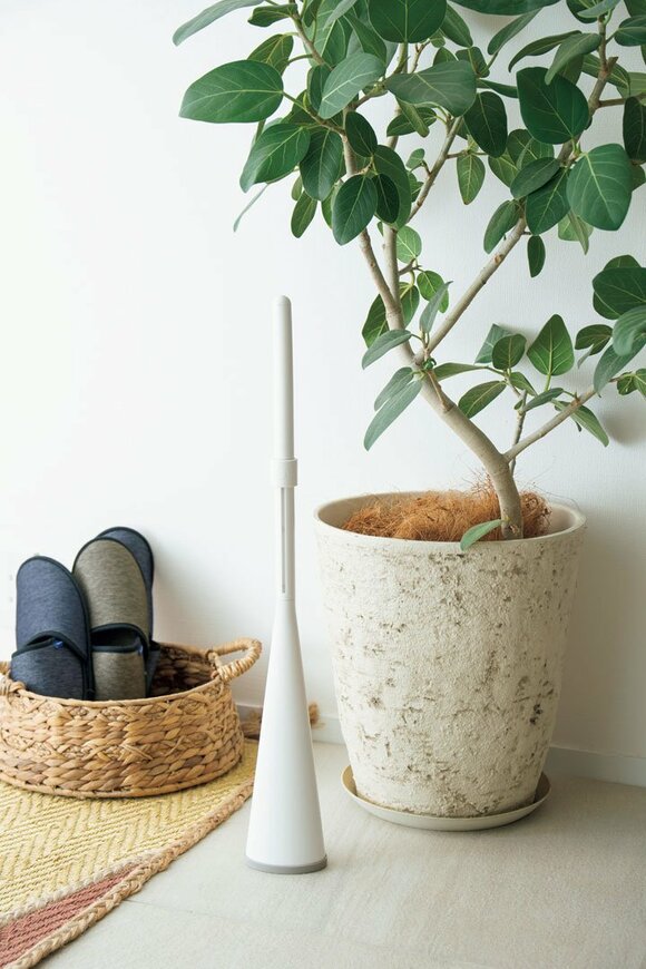 観葉植物とほうき
