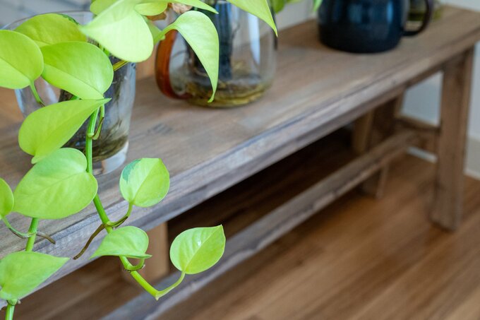 観葉植物の並んだベンチ