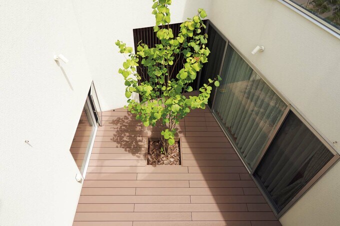 マルバノキを中央に植えた中庭