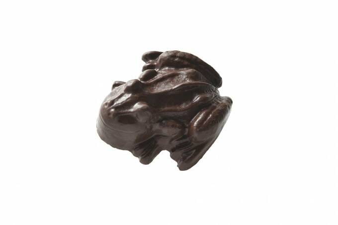 蛙チョコレート