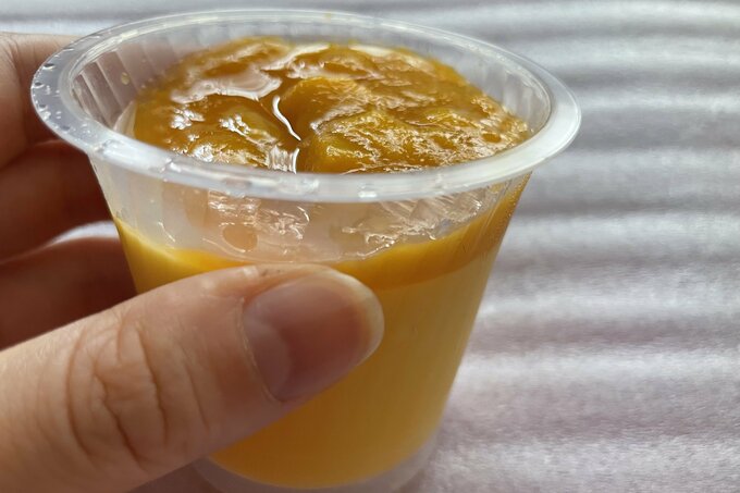 マンゴープリン