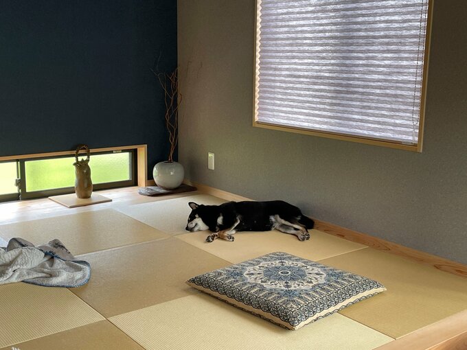 和室とワンコ