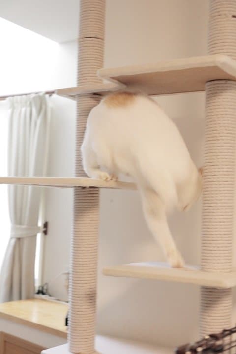 Hさんの家