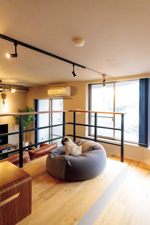 LDKを気持ちよく見渡す愛犬のチル