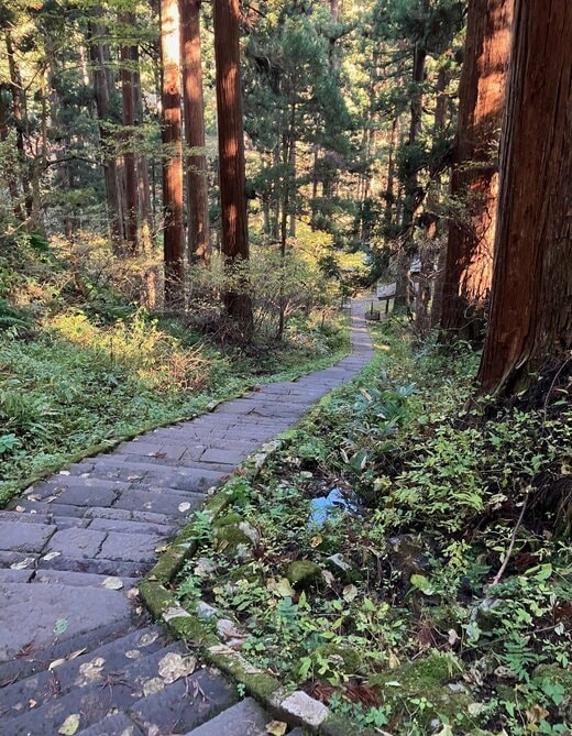 E羽黒山