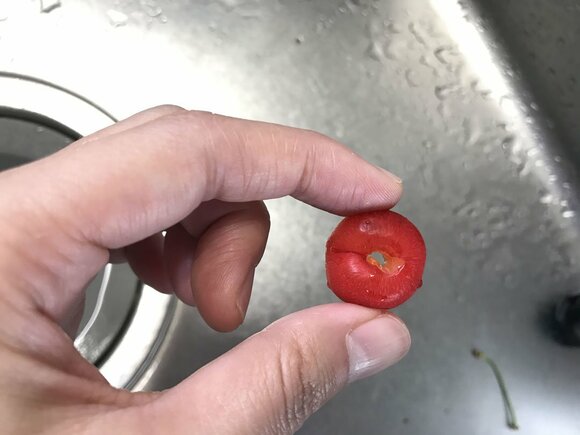 さくらんぼ使い方その2