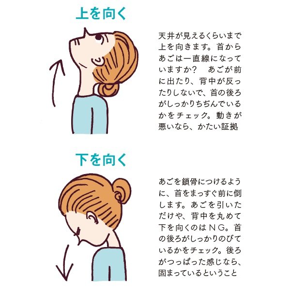 首が自由に動く