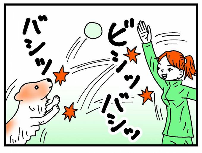 犬とラリーをする様子