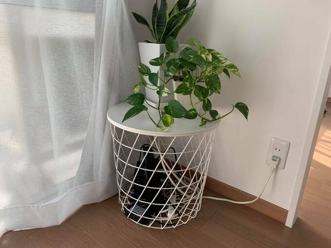 植物を飾った様子