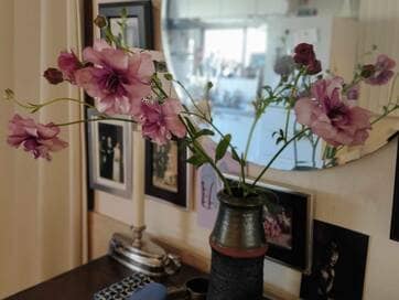 ケーキより一輪の花を。花ビンに出合って得た楽しみ〈今日はなにを手に取ろう？〉