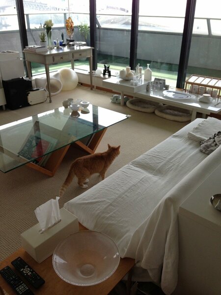 マンションのリビングの一角