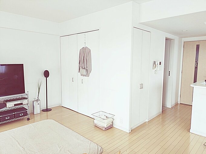 リビングの収納扉