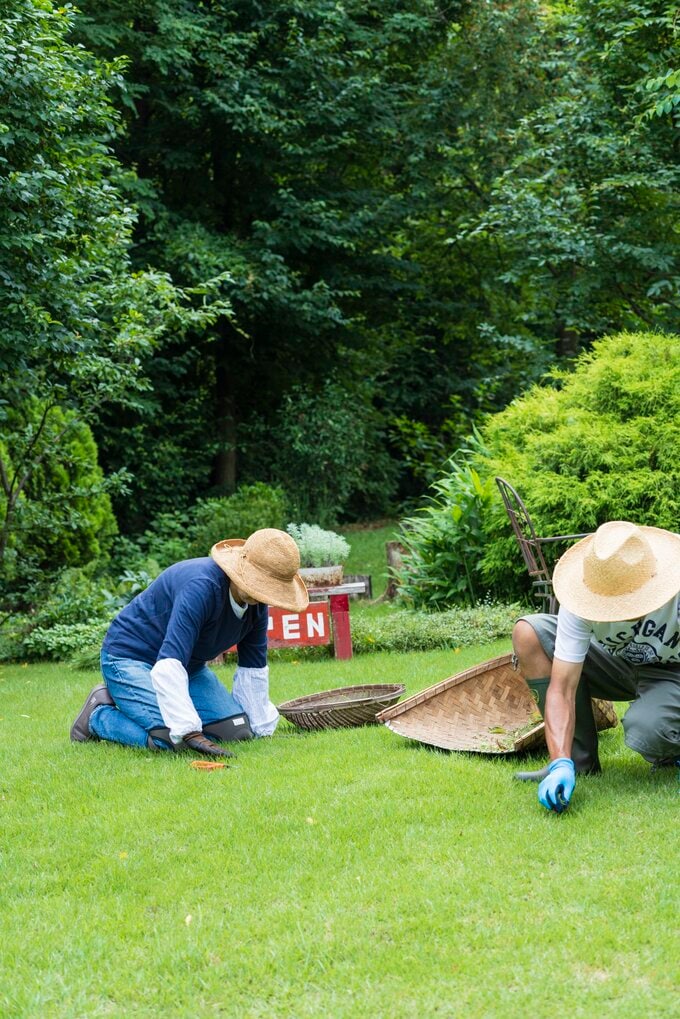 庭で雑草取りをする2人