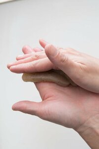 冷凍こんにゃくのつくり方