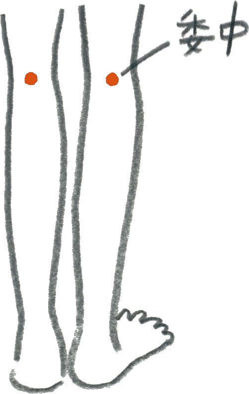 イラスト膝裏