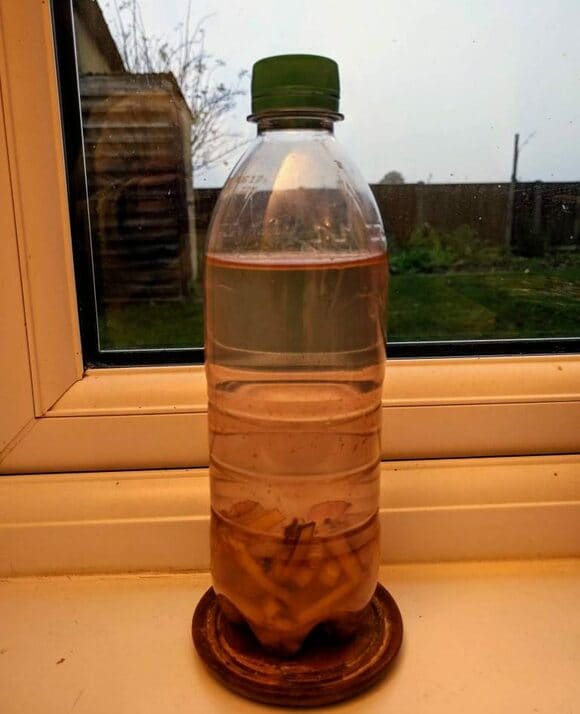 バナナに浸けた水