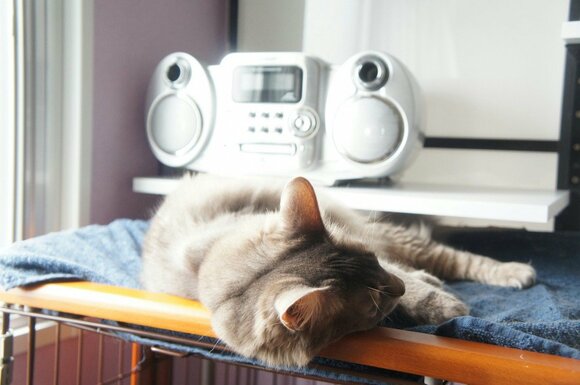 家事やりたくない…。そのなときに効果的な5つのアクション