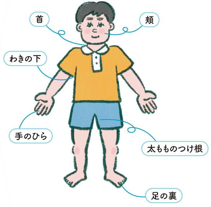 大きい血管が通っている場所