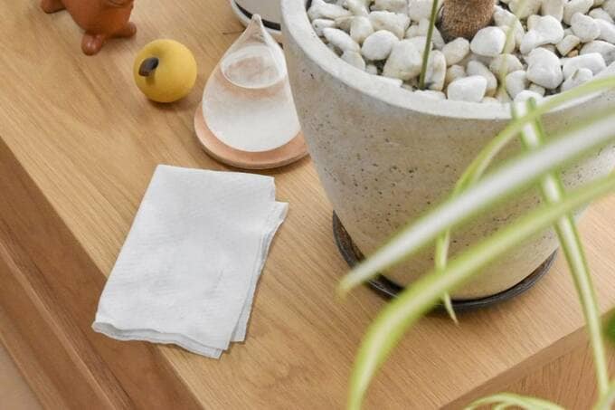 植物近くにシート