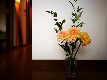 50代、父をひとりで死なせた後悔…認知症の母と今、向き合って考えること