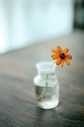 テーブルの花あしらい＆マステのおめかし割り箸で、カフェ風おもてなしを！