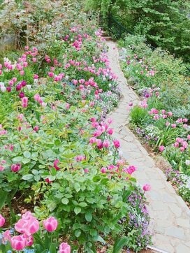 「この選択、本当に正解？」後悔しないために今からできること