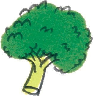 イラストブロッコリー
