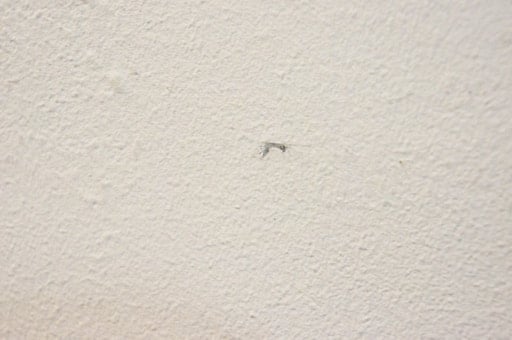 この壁の傷を補修