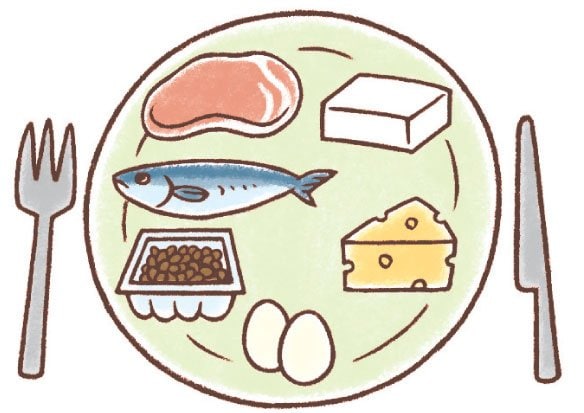 おかずはタンパク質をメインに