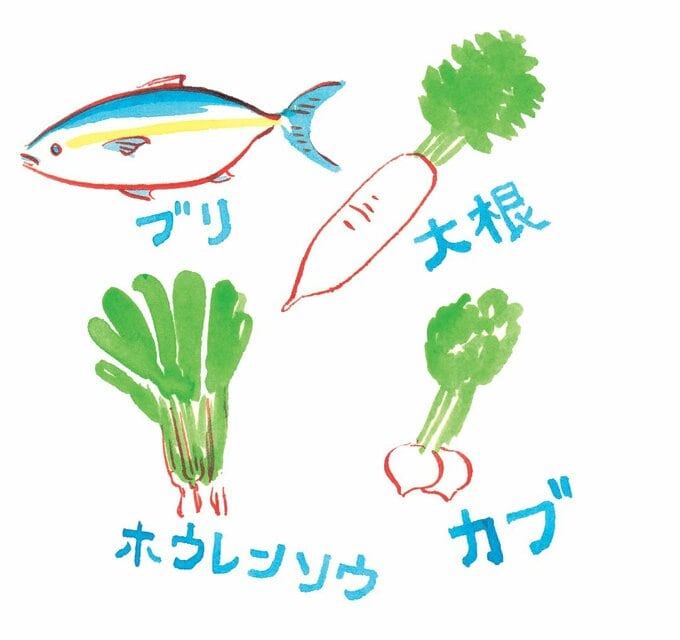 ブリホウレンソウ大根カブのイラスト