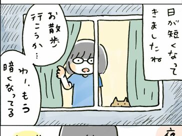 飼い主もわんちゃんもこれで安心！ぴかぴか光る夜のお散歩グッズ＜保護犬マンガ＞