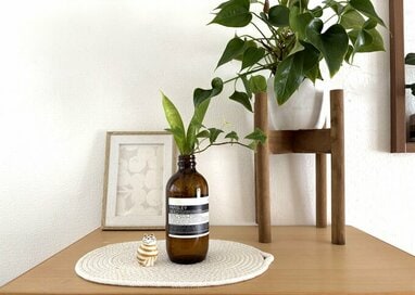 5つのエコ習慣で「お金と時間を節約」。暮らしがおしゃれに、ゴミ出しの負担が減った《SDGs》