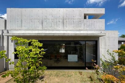 家がもっと好きになるシンボルツリー5種。知れば、思わず木が愛おしくなるいい話