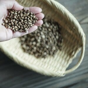 「煮出し」ではなく「お湯出し」！