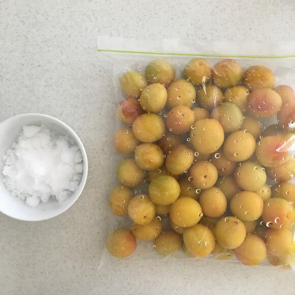お塩をまんべんなく梅にからめ、なじませます