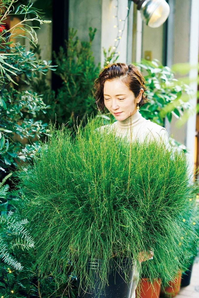大和田さんの好きな植物