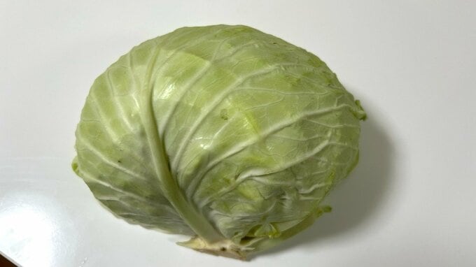 キャベツ