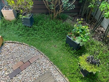 元ガーデニングに興味なしの人がつくった、住宅密集地の森みたいな庭