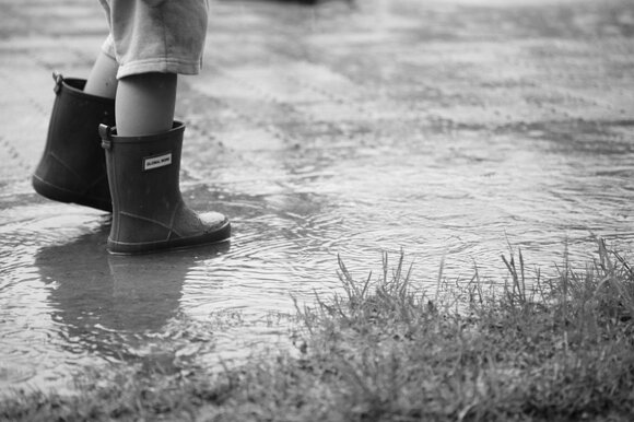 この写真をモノクロに変えてみましょう