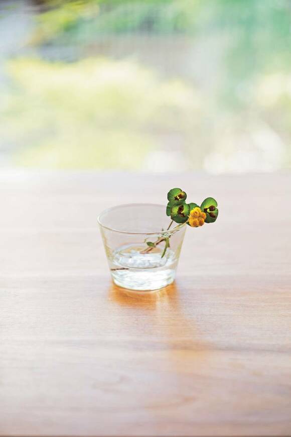 コップに花