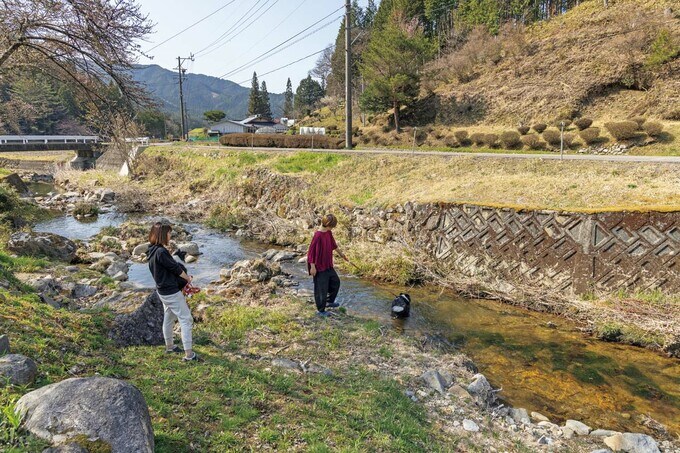 愛犬の川遊び
